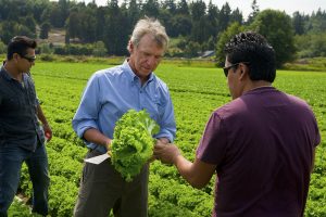 Duke at Lettuce Farm