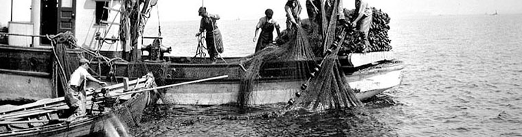 Fishing Boat in Puget Sound